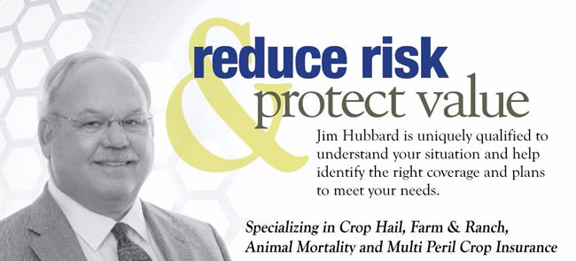 Jim Hubbard